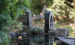 Travaux Grande Fontaine