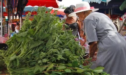 légumes