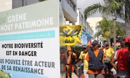 gréve centre de tri