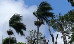 La météo sur La Réunion