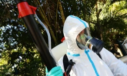 Vendredi 5 avril 2019 - opération de démoustication à la Ravine des Cabris