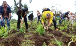 Plantation d'arbres endémiques et indigènes à Petite-île
