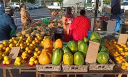 Saint-André : le marché limité à 60 forains ce vendredi 