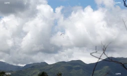 météo réunion 