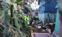 moustique nettoyage vid fond de kour ravine à marquet