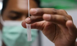 coronavirus 