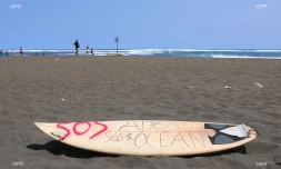 illustration crise requin