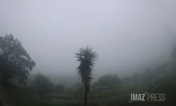 météo réunion