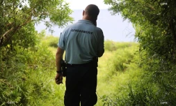 Gendarmerie 