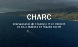 Vidéo CHARC IRD
