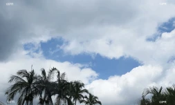 météo réunion 