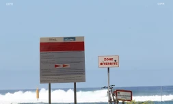 panneaux requins baignade interdite 
