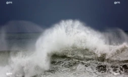 L'alerte orange peut-être déclenchée ce jeudi