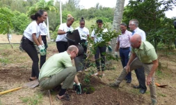 Une trentaine de plants mis en terre à l'arboretum de l'ONF