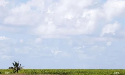Météo Réunion 