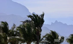 Vents forts : le sud de l'île en vigilance avec des rafales pouvant aller jusqu'à 80 km/h [?]