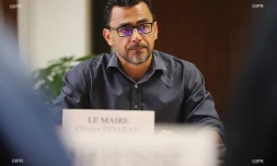 olivier Hoarau 