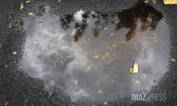 pluie 
