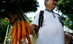 Marchés producteurs 