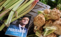 Emmanuel Macron en visite à La Réunion