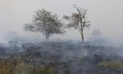 La Belgique confrontée à l'un des pires incendies de son histoire