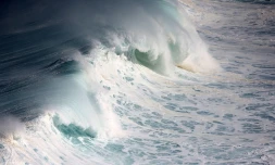houle en bord de mer avec de grosses vagues