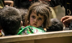 Des enfants irakiens ayant fui les combats entre les forces gouvernementales et les jihadistes de l'EI à Mossoul, en Irak, le 8 juillet 2017