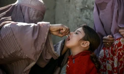 Une fillette reçoit une dose de vaccin contre la poliomyélite, le 20 mars 2019, dans la province de Kandahar, en Afghanistan