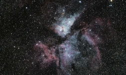 photographe amateur Sylvie Perrigault