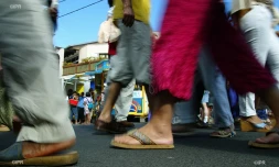 populations 