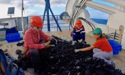 L'expertise scientifique réunionnaise mobilisée pour le volcan sous-marin de Mayotte