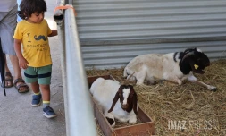 Foire agricole de Bras Panon