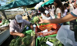 marché forain de l'Oasis au Port