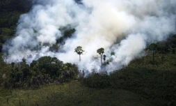 Incendies en amazonie
