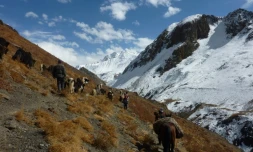 Des commerçants pakistanais voyageant avec leur bétail dans le corridor de Wakhan (Afghanistan), frontalier de la Chine, le 11 octobre 2017