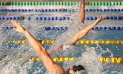 JIOI 2019, jeux des îles, natation, nageur