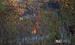 Saint-Paul : incendies en séries à proximité de la quatre voies, la dépendance d'une maison partie en fumée