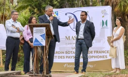 Le Département et Mascarin offrent un nouvel écrin aux roses Bourbon