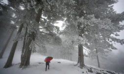 Paysage enneigé, le 22 février 2018 en Corse