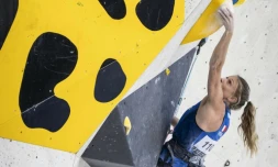 Escalade Manon Hily Oriane Bertone finalistes Coupe du Monde Innsbruck