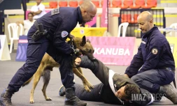 séminaire canin police 2025 