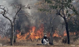 incendie, feu de broussaille, Le Port, octobre 2019