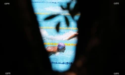 meeting natation 2017