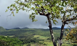 paysage les hauts de sainte-rose 