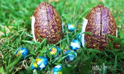 oeuf en chocolat 