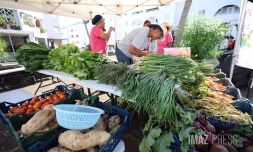 marché vrac plateau caillou 