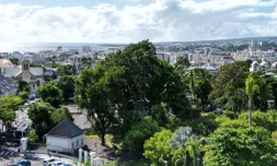 e Jardin de l’État partiellement inaccessible pour l’élagage d’un arbre centenaire