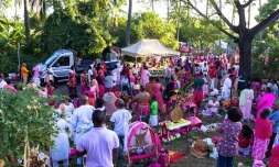 Saint-Paul : la communauté tamoule célèbre Muruga
