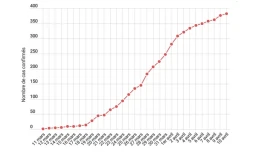infographie coronavirus 11 avril Réunion