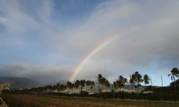 paysages 